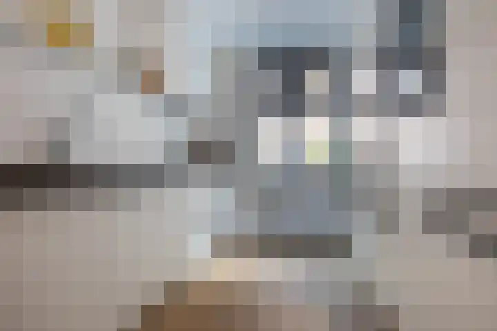 Hevel 27 Heemskerk thumbnail 16