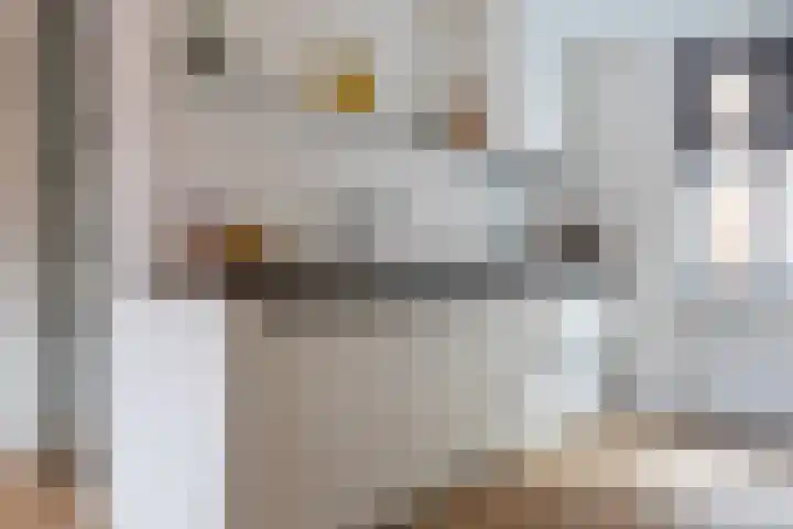 Hevel 27 Heemskerk thumbnail 18
