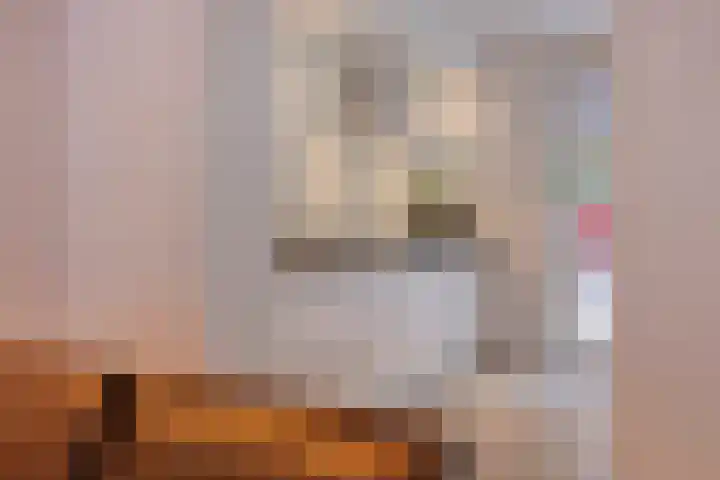 Hevel 5 Heemskerk thumbnail 10
