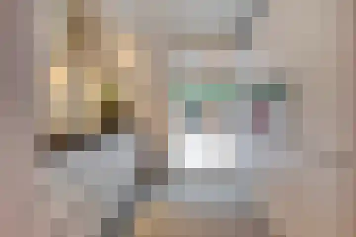 Hevel 5 Heemskerk thumbnail 11