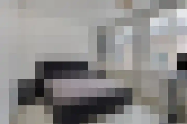 Hevel 5 Heemskerk thumbnail 25