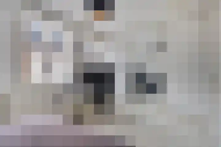 Hevel 5 Heemskerk thumbnail 26