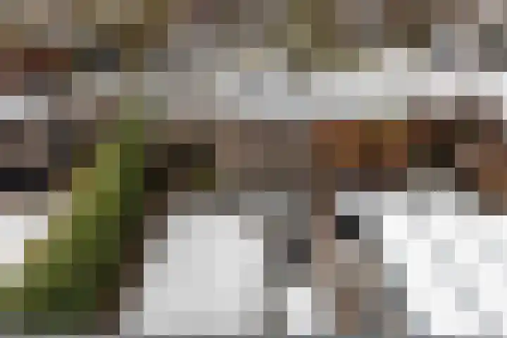Hevel 5 Heemskerk thumbnail 34