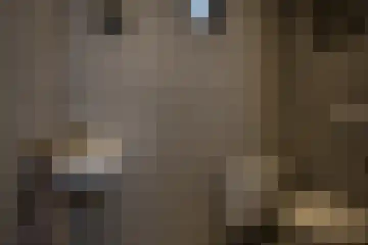 Hexelseweg 15 Wierden thumbnail 10
