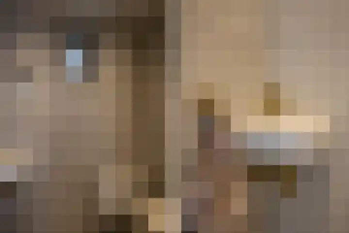 Hexelseweg 15 Wierden thumbnail 11
