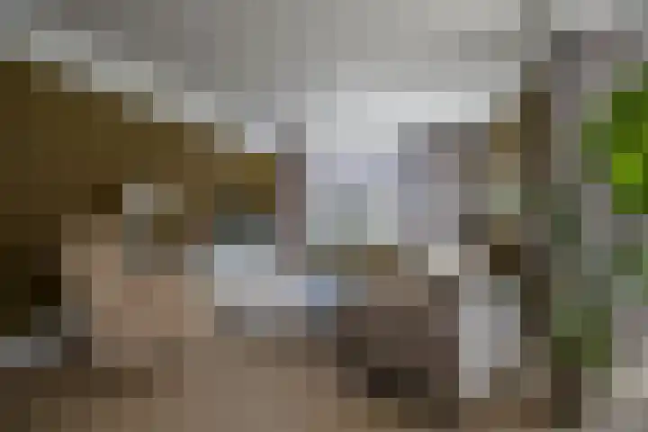 Hexelseweg 15 Wierden thumbnail 14