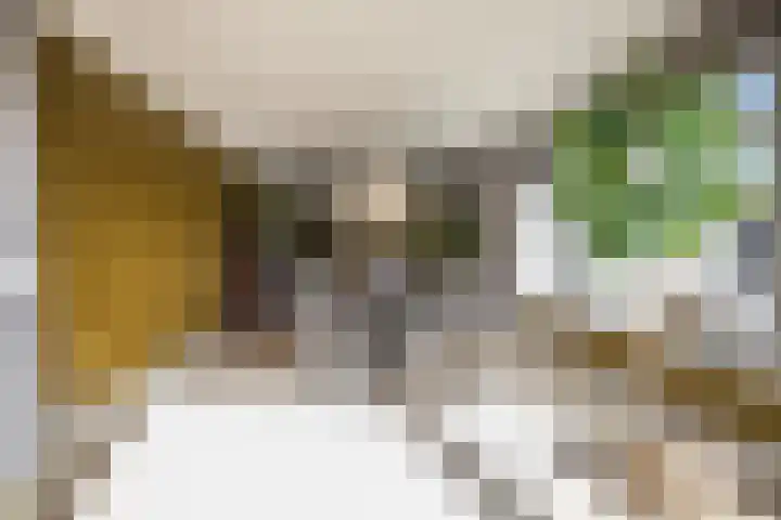 Hexelseweg 15 Wierden thumbnail 16