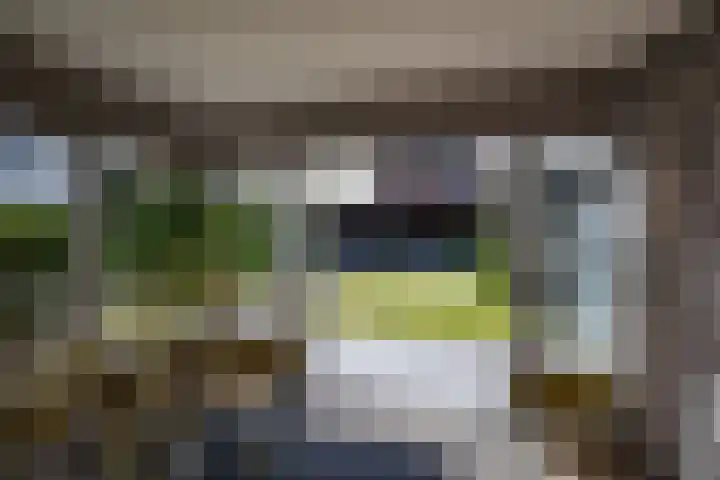 Hexelseweg 15 Wierden thumbnail 18