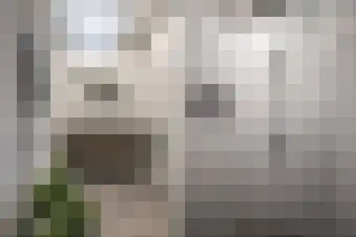Hexelseweg 15 Wierden thumbnail 26