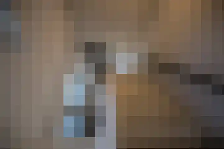 Hexelseweg 15 Wierden thumbnail 27