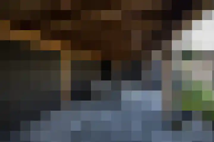 Hexelseweg 15 Wierden thumbnail 38