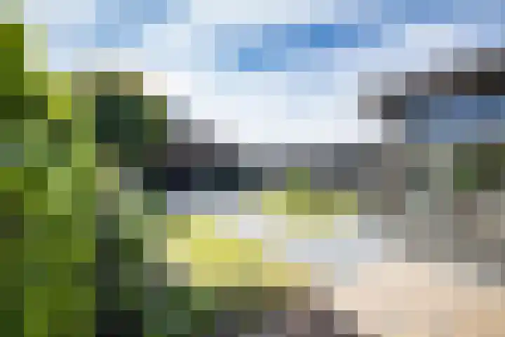 Hexelseweg 15 Wierden thumbnail 41