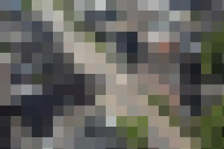 Hexelseweg 15 Wierden thumbnail 45