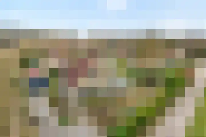 Hexelseweg 256 Daarle