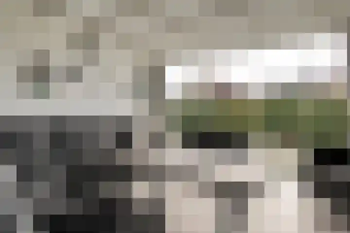 Hexelseweg 256 Daarle thumbnail 10