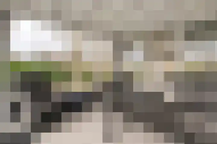 Hexelseweg 256 Daarle thumbnail 11
