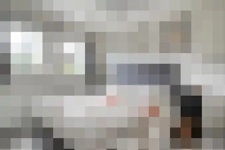 Hexelseweg 256 Daarle thumbnail 18