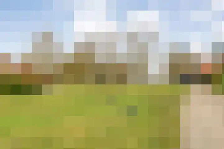 Hexelseweg 256 Daarle thumbnail 27