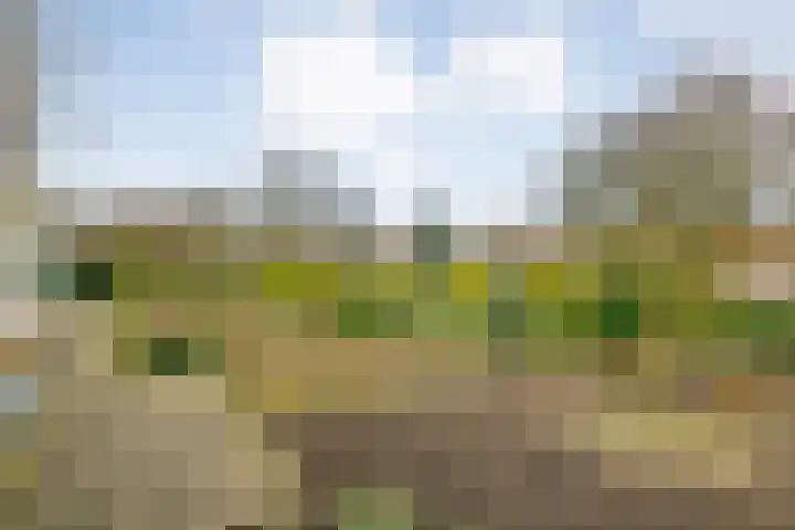 Hexelseweg 256 Daarle thumbnail 28