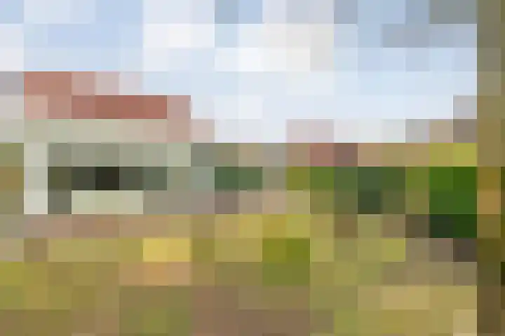 Hexelseweg 256 Daarle thumbnail 30