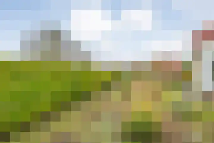 Hexelseweg 256 Daarle thumbnail 31