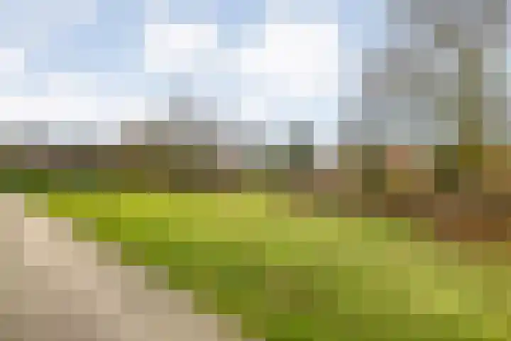 Hexelseweg 256 Daarle thumbnail 32