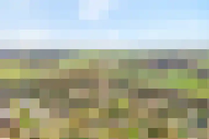 Hexelseweg 256 Daarle thumbnail 33