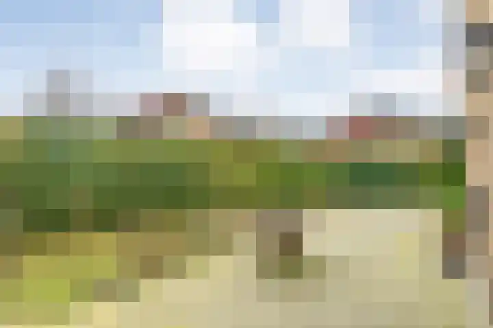 Hexelseweg 256 Daarle thumbnail 34