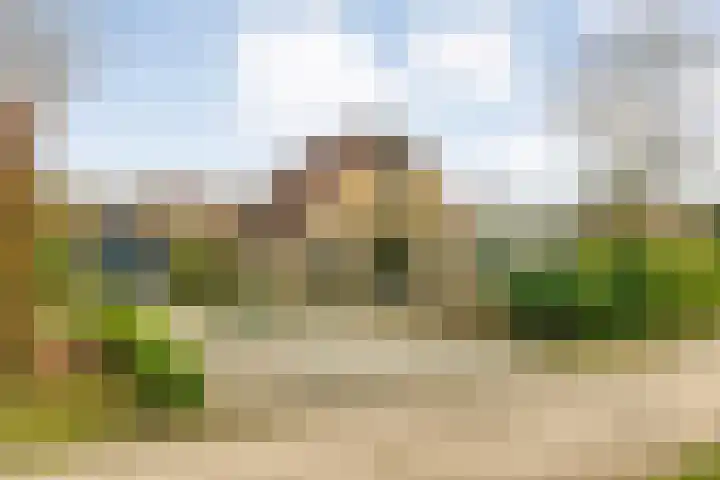Hexelseweg 256 Daarle thumbnail 37