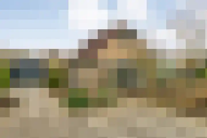 Hexelseweg 256 Daarle thumbnail 39