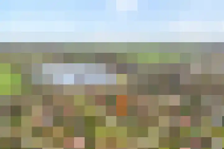 Hexelseweg 256 Daarle thumbnail 41