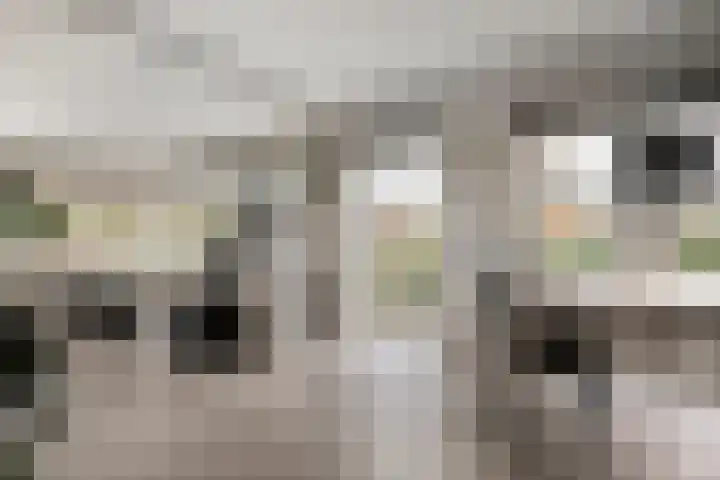 Hexelseweg 256 Daarle thumbnail 8
