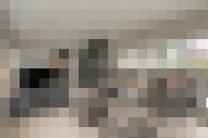 Hexelseweg 256 Daarle thumbnail 9