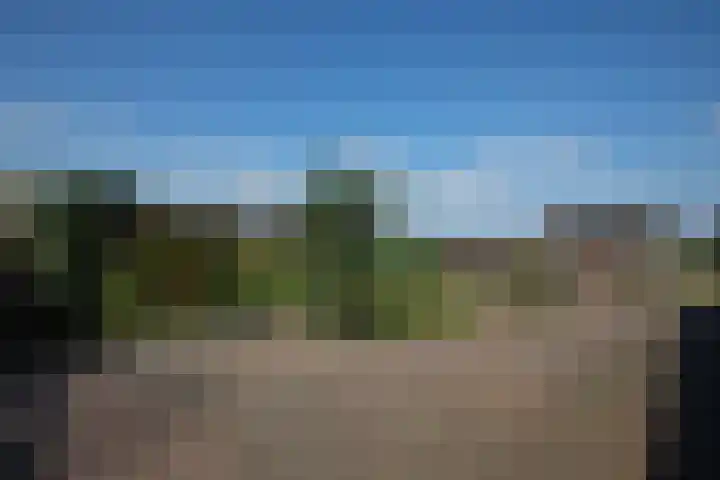 Hexelseweg 56 Hoge Hexel thumbnail 27