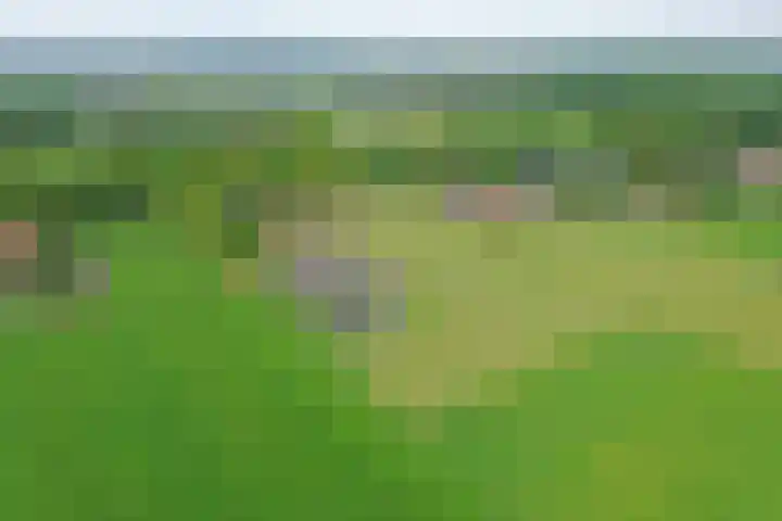 Hexelseweg 56 Hoge Hexel thumbnail 36