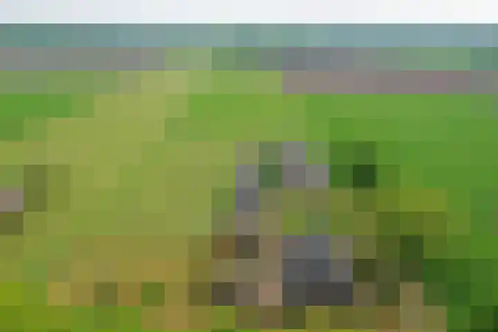 Hexelseweg 56 Hoge Hexel thumbnail 37