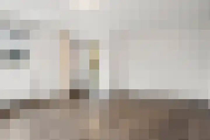 Heyenerf 24 Harskamp thumbnail 31