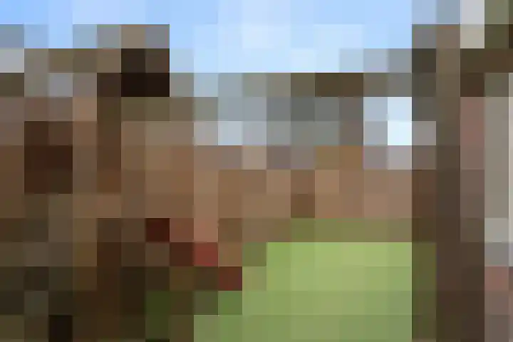 Heyenerf 24 Harskamp thumbnail 46