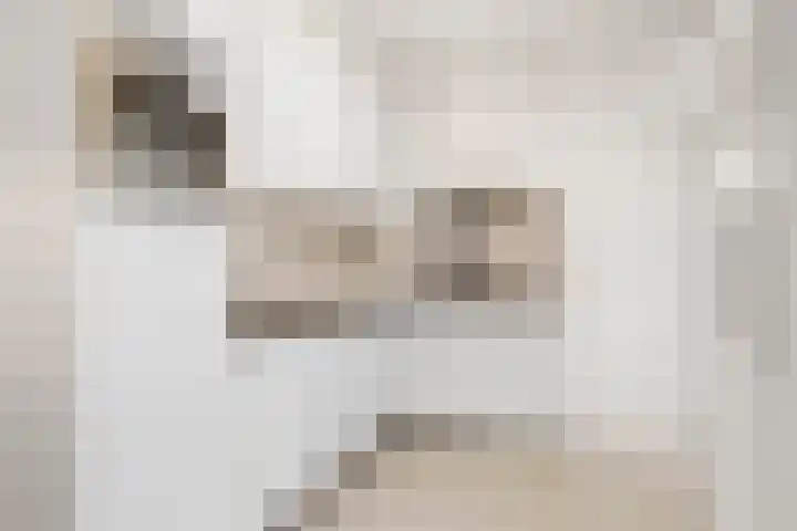 Heyenerf 24 Harskamp thumbnail 6
