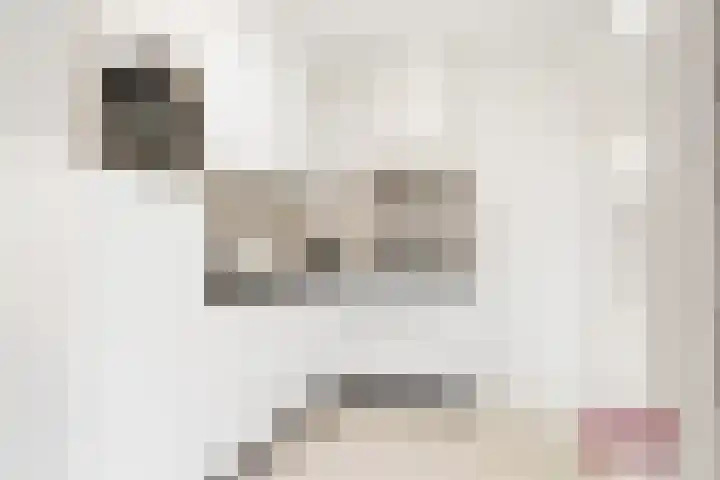 Heyenerf 24 Harskamp thumbnail 7
