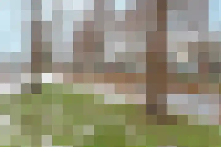 Heymansstraat 15 Rotterdam thumbnail 33