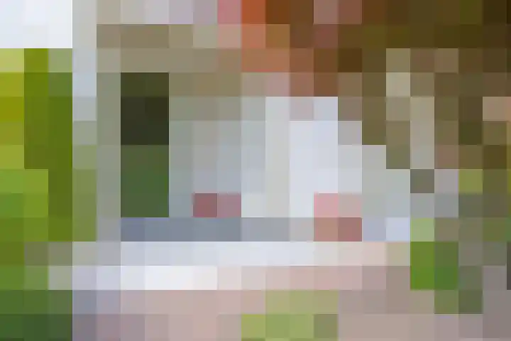 Hezelaar 35 Gemert thumbnail 10