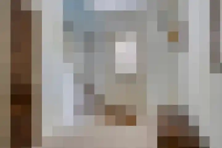 Hezelaar 35 Gemert thumbnail 11