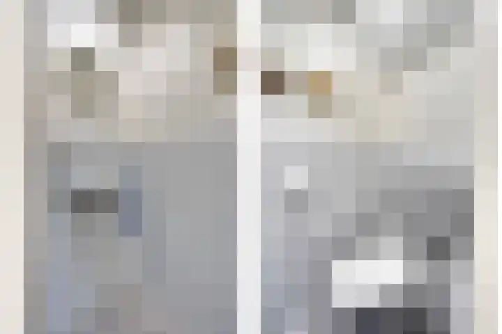 Hezelaar 35 Gemert thumbnail 13