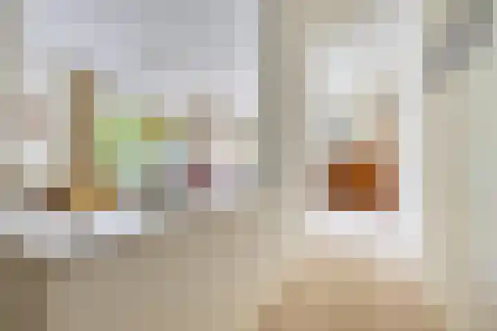 Hezelaar 35 Gemert thumbnail 14