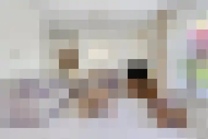 Hezelaar 35 Gemert thumbnail 18