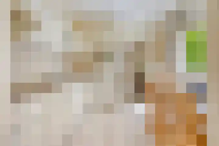 Hezelaar 35 Gemert thumbnail 23