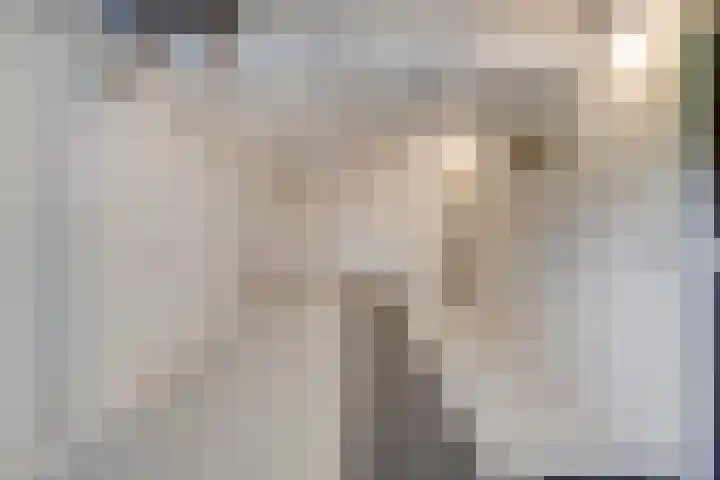 Hezelaar 35 Gemert thumbnail 27