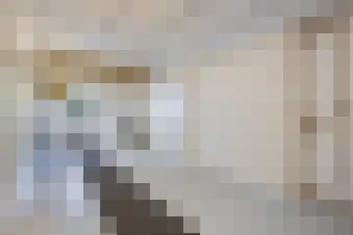 Hezelaar 35 Gemert thumbnail 28