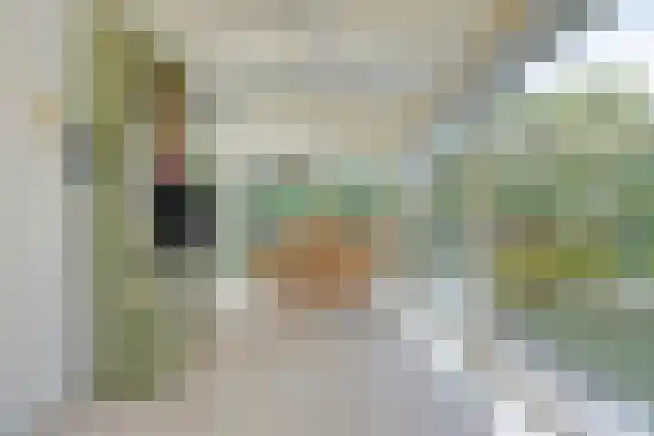 Hezelaar 35 Gemert thumbnail 35